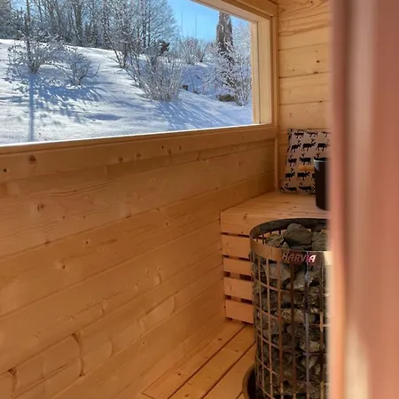 Kleines Im Erzgebirge Mit Sauna Und Kamin Rechenberg-Bienenmuhle