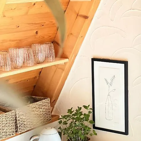 Kleines Im Erzgebirge Mit Sauna Und Kamin Rechenberg-Bienenmuhle