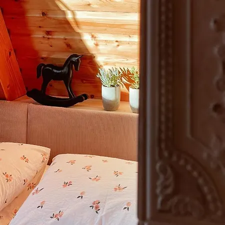 Kleines Im Erzgebirge Mit Sauna Und Kamin * Rechenberg-Bienenmuhle