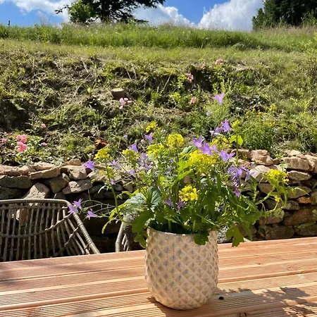 Kleines Im Erzgebirge Mit Sauna Und Kamin Prázdninový dům