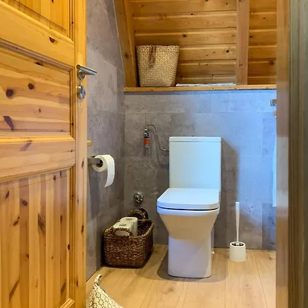Holiday home Kleines Im Erzgebirge Mit Sauna Und Kamin Rechenberg-Bienenmuhle