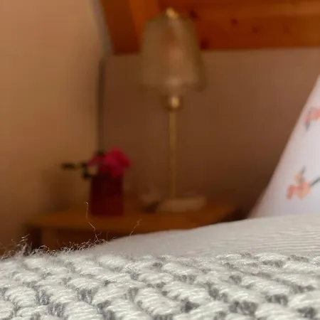 Kleines Im Erzgebirge Mit Sauna Und Kamin Rechenberg-Bienenmuhle