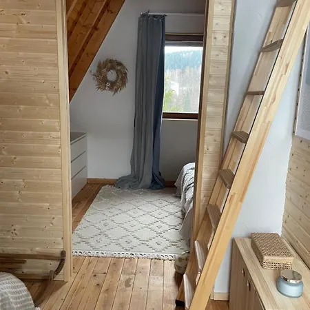 Kleines Im Erzgebirge Mit Sauna Und Kamin Rechenberg-Bienenmuhle