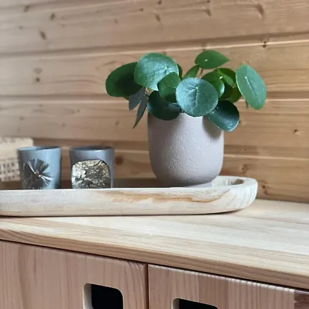 Kleines Im Erzgebirge Mit Sauna Und Kamin *