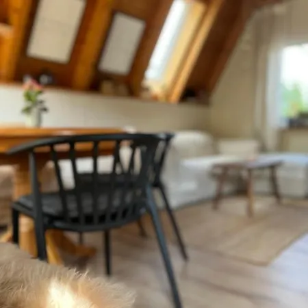 Kleines Im Erzgebirge Mit Sauna Und Kamin Prázdninový dům *