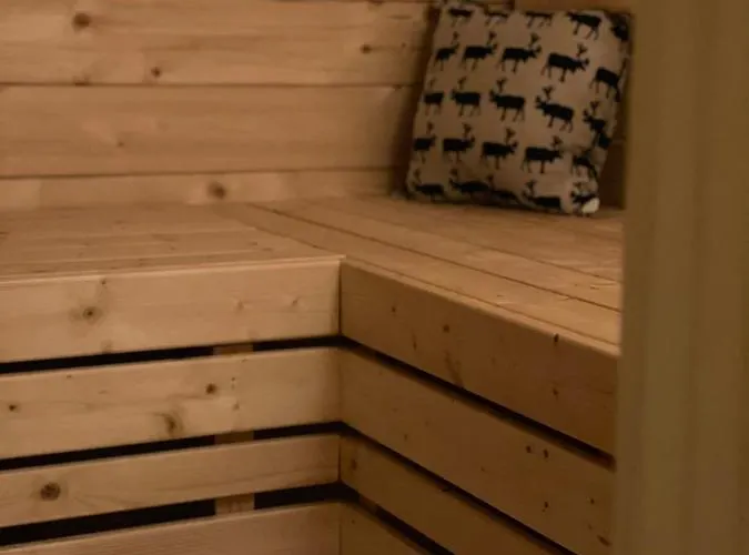 Kleines Im Erzgebirge Mit Sauna Und Kamin Дом отдыха *