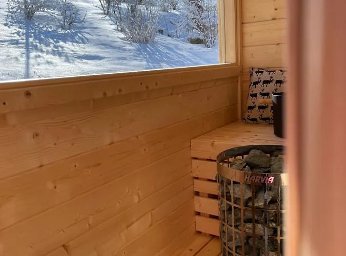 Kleines Im Erzgebirge Mit Sauna Und Kamin Rechenberg-Bienenmuhle