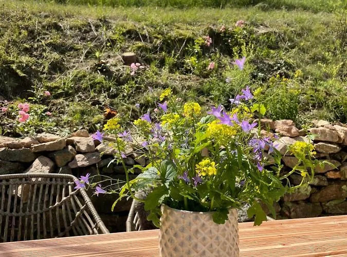 Kleines Im Erzgebirge Mit Sauna Und Kamin Дом отдыха