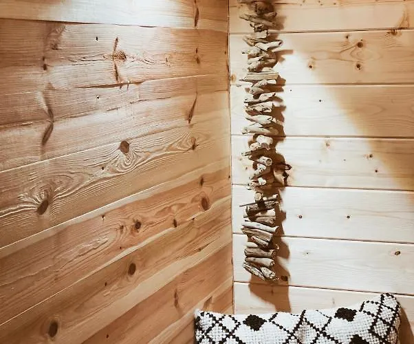 Kleines Im Erzgebirge Mit Sauna Und Kamin Rechenberg-Bienenmuhle