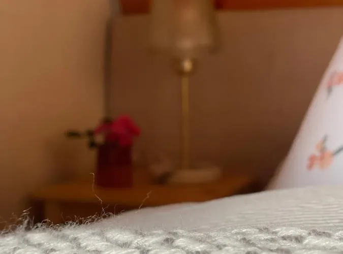 Kleines Im Erzgebirge Mit Sauna Und Kamin Rechenberg-Bienenmuhle