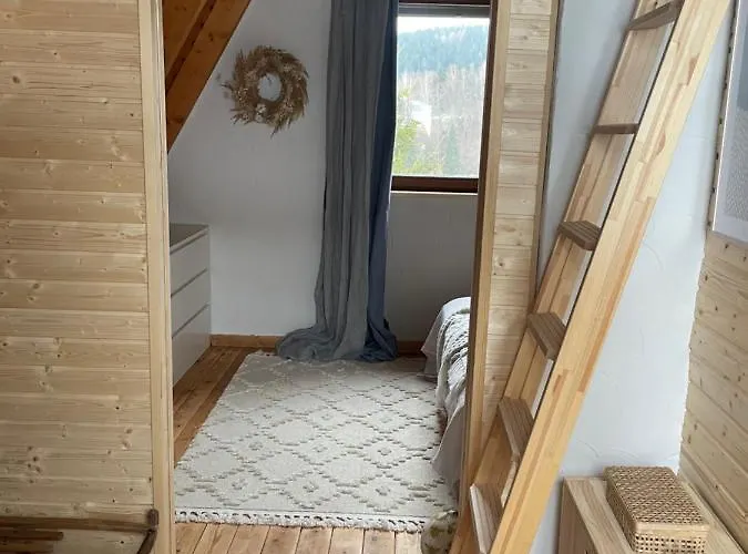 Kleines Im Erzgebirge Mit Sauna Und Kamin Rechenberg-Bienenmuhle