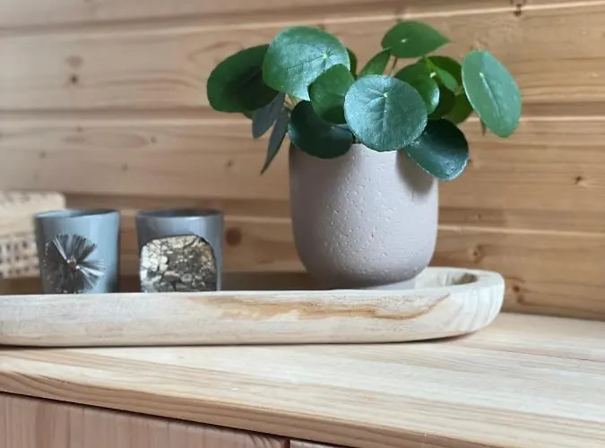 Kleines Im Erzgebirge Mit Sauna Und Kamin *